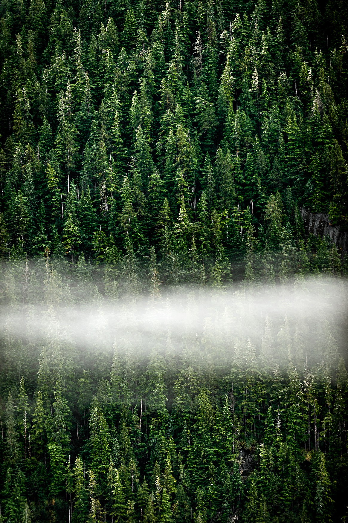 backcountry.alaska_17 copy.jpg
