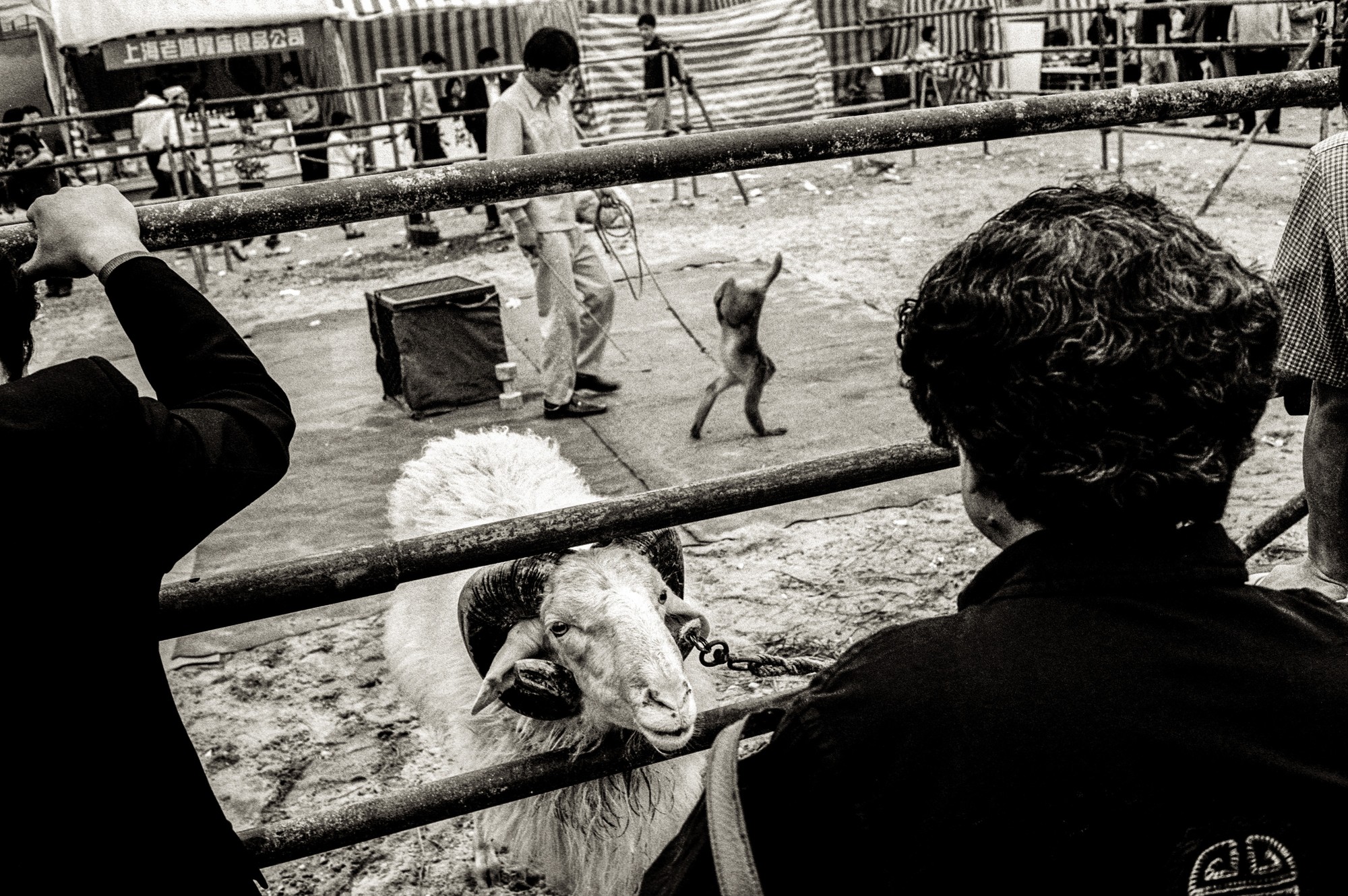 china.bw_007 copy.jpg