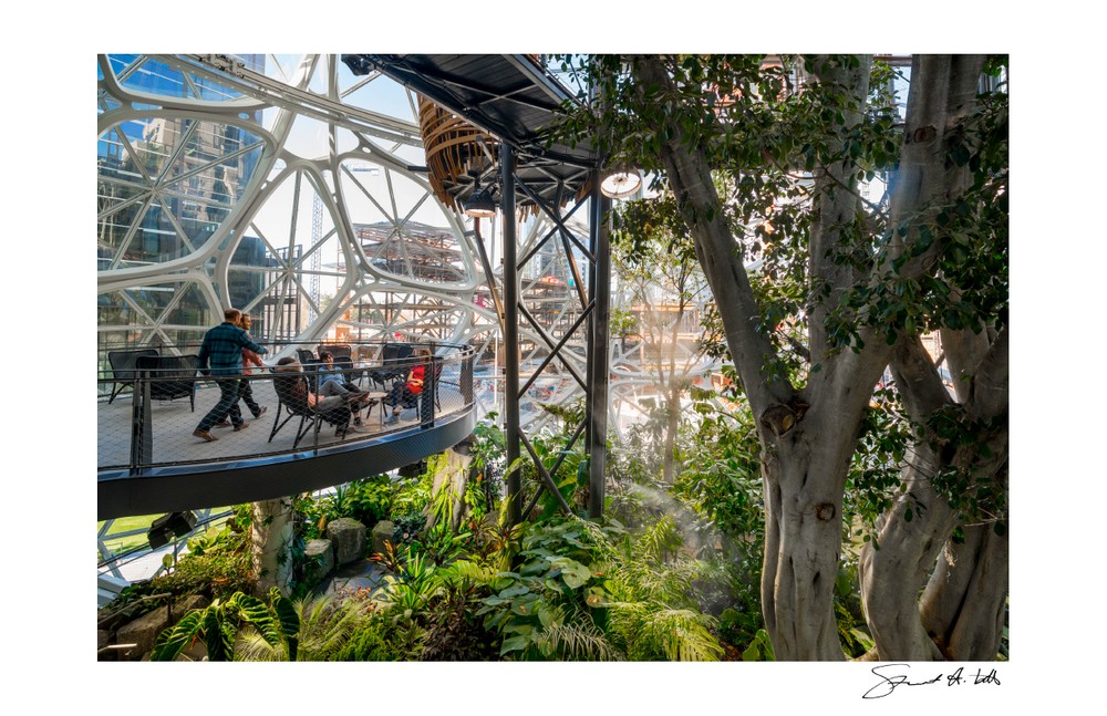 Lightroom (SPHERES.Amazon_0186.dng) copy.jpg