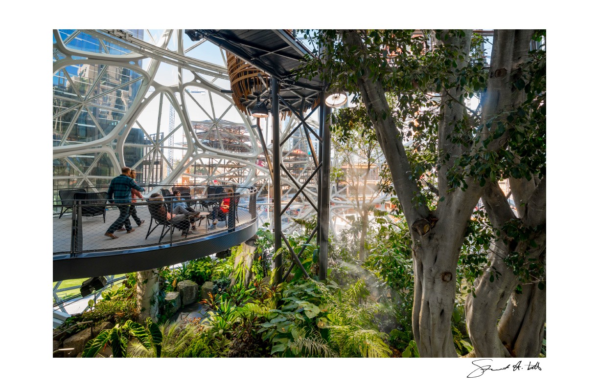 Lightroom (SPHERES.Amazon_0186.dng) copy.jpg