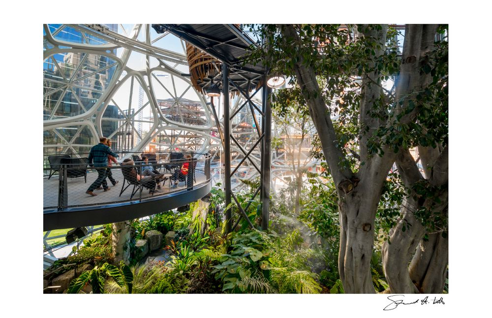 Lightroom (SPHERES.Amazon_0186.dng) copy.jpg
