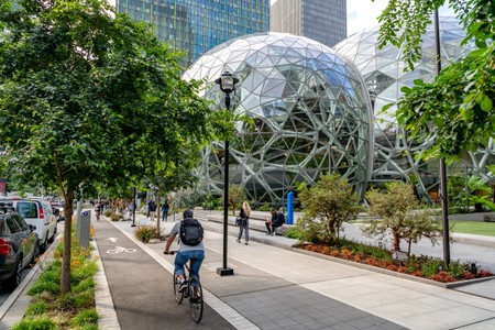 amazon.block19_0023 copy.jpg