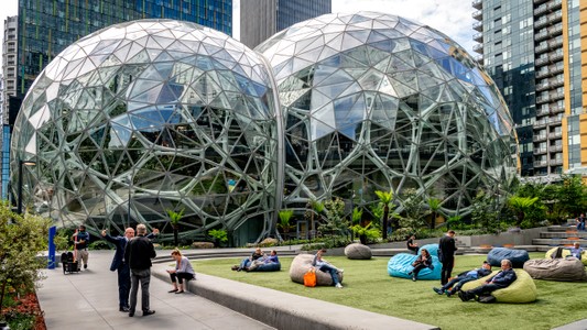amazon.block19_0104 copy.jpg