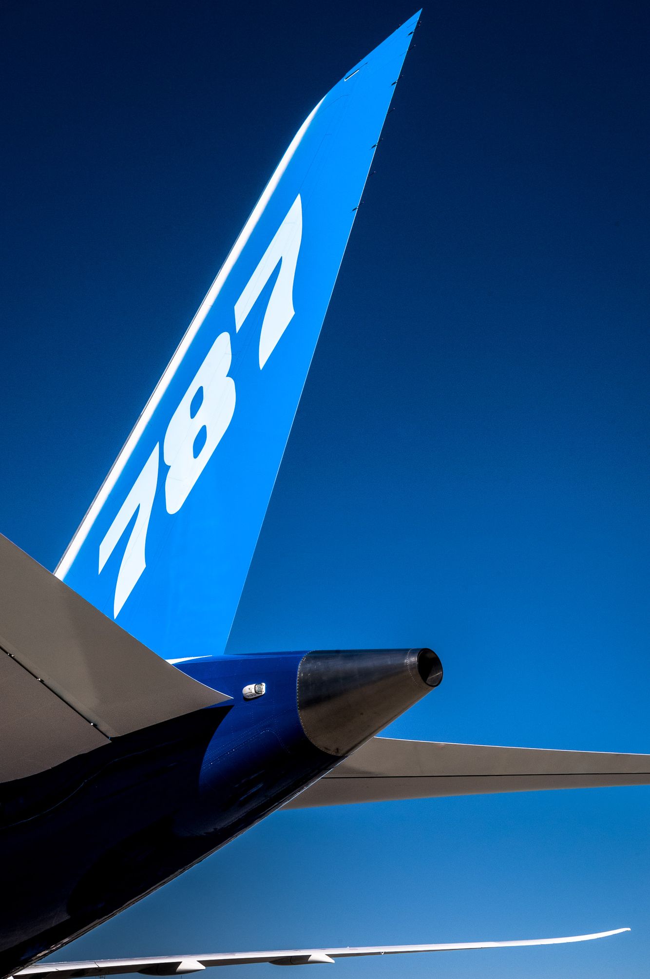 BOEING.787_0004 copy.jpg