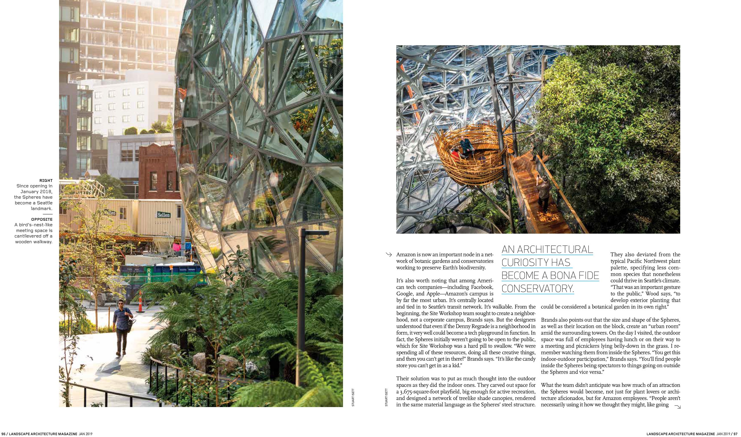 Amazon.spheres-7 copy.jpg