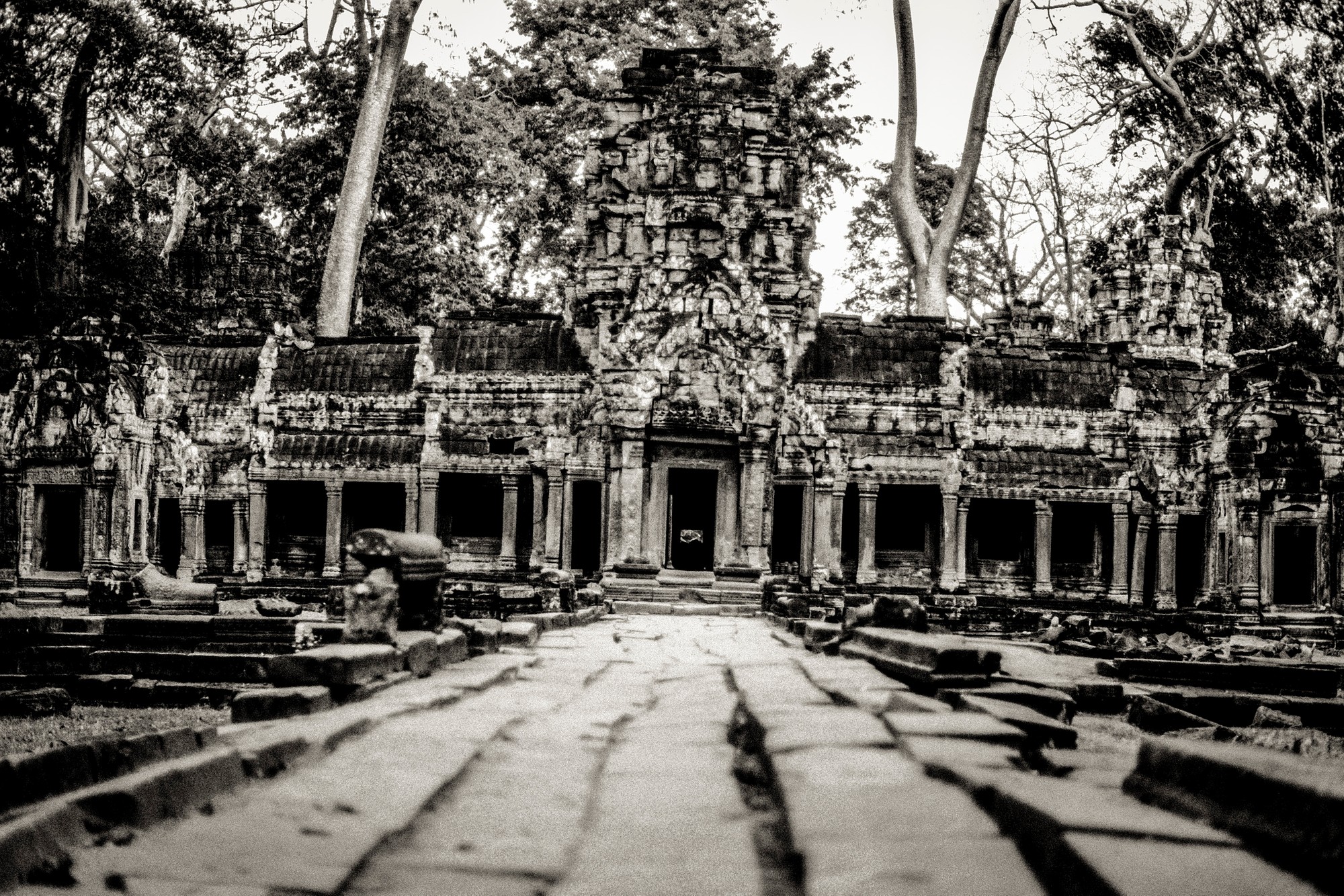 ANGKOR.F1.4_0419-Edit.jpg