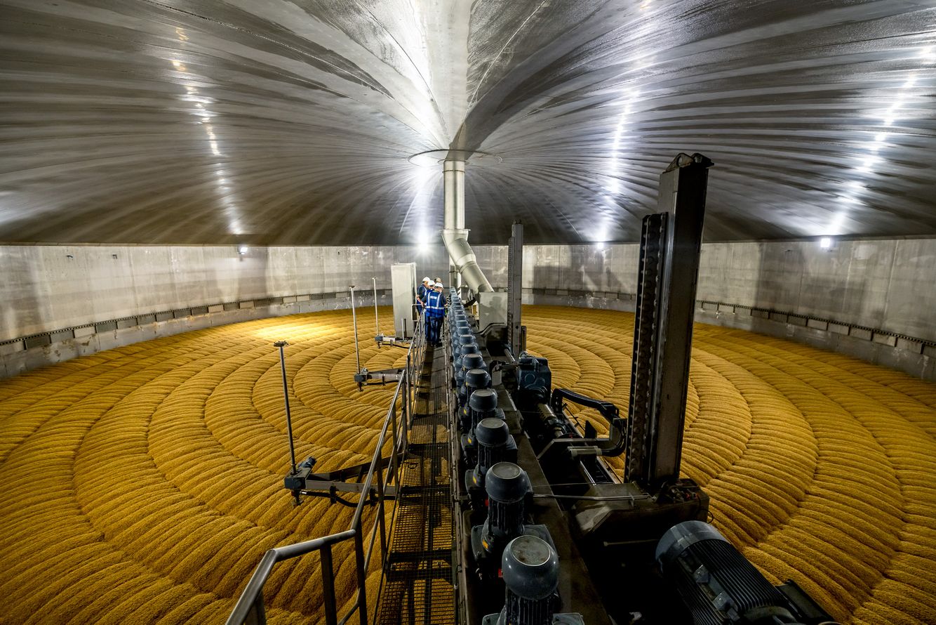 Buhler Engineering BUHLER.MALT.germ_164.jpg