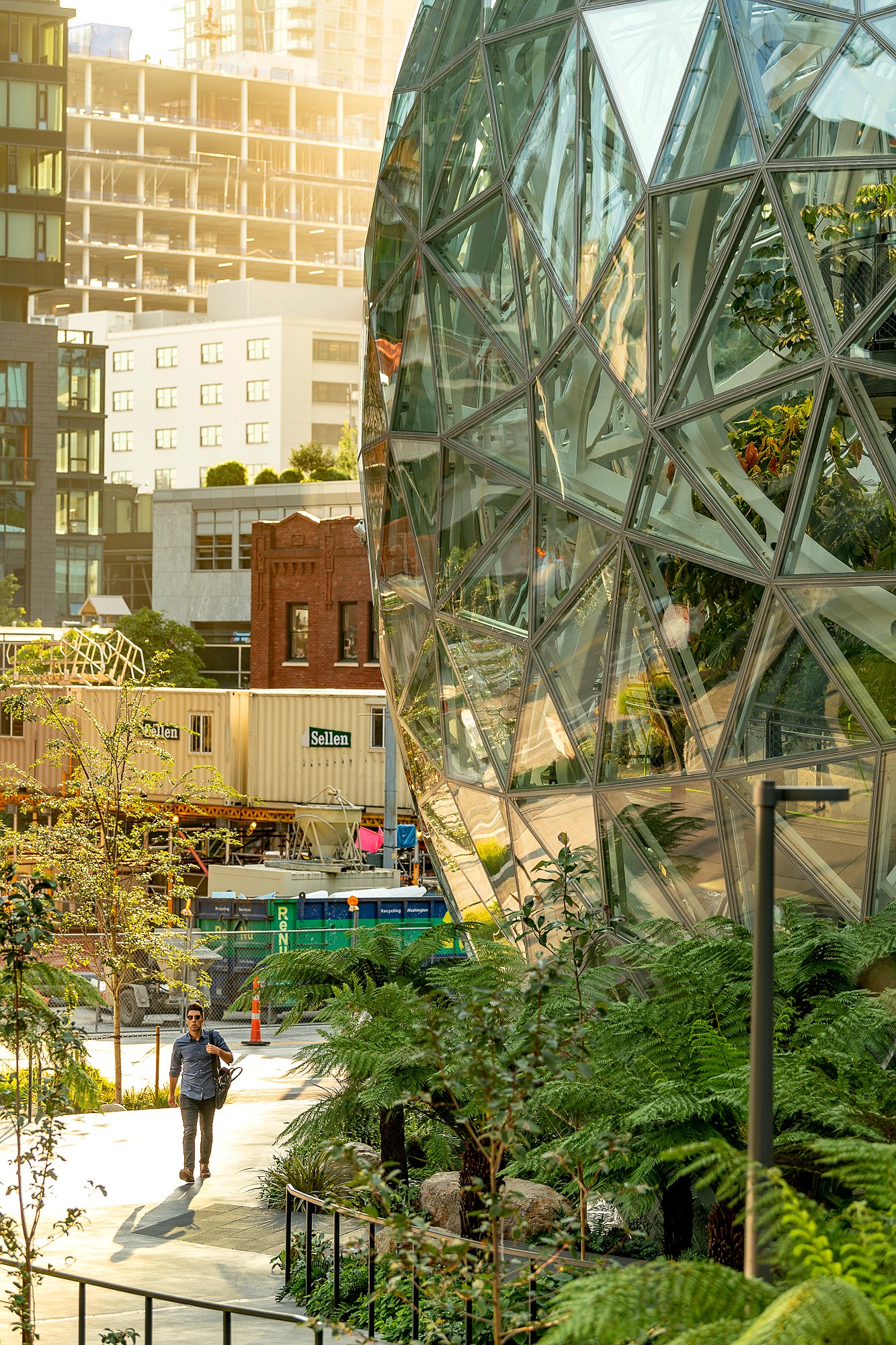amazon.spheres_00120.jpg