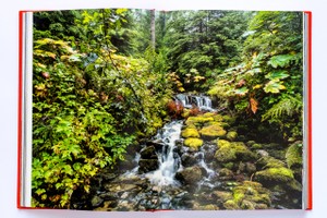 DSC_6953.jpg