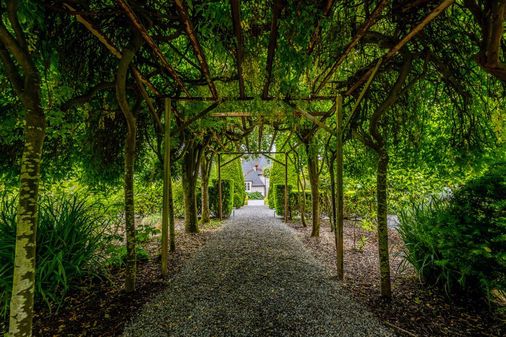 garden.front_509.jpg
