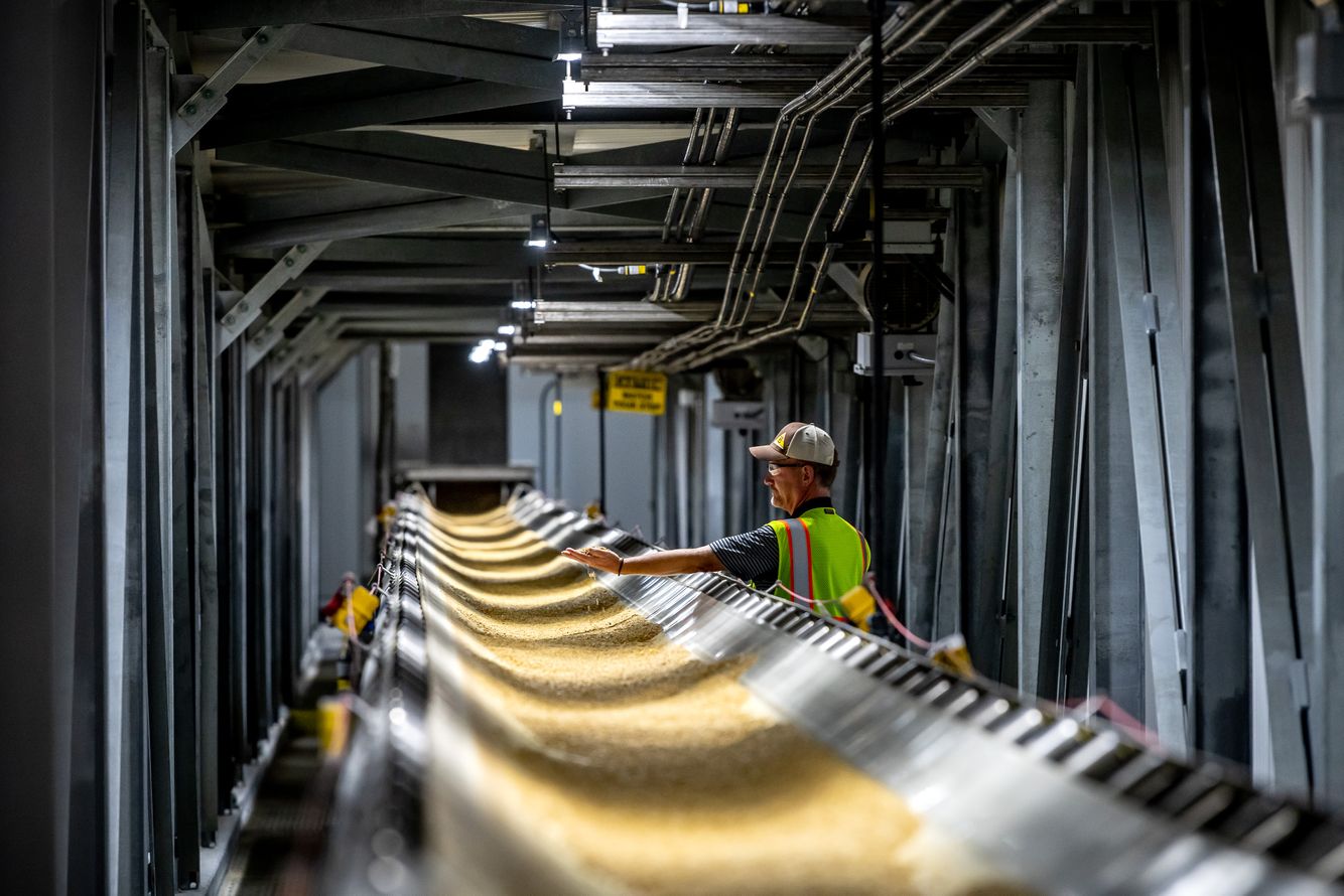 Buhler Engineering BUHLER.MALT.kiln_1373.jpg