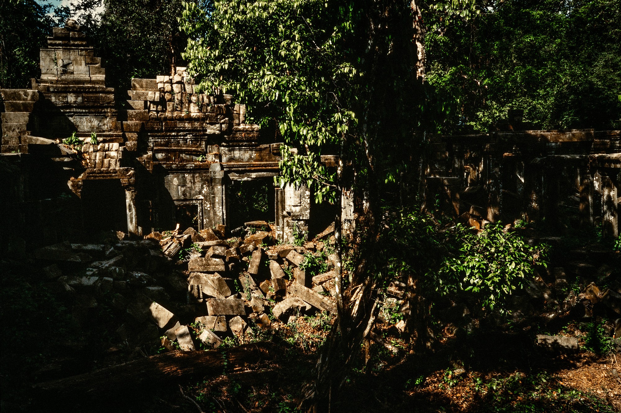 DSC_4306.jpg