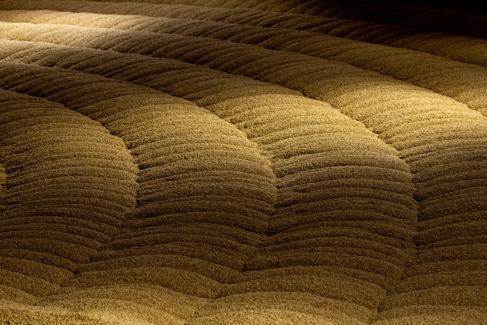 BUHLER.MALT.germ_015.jpg
