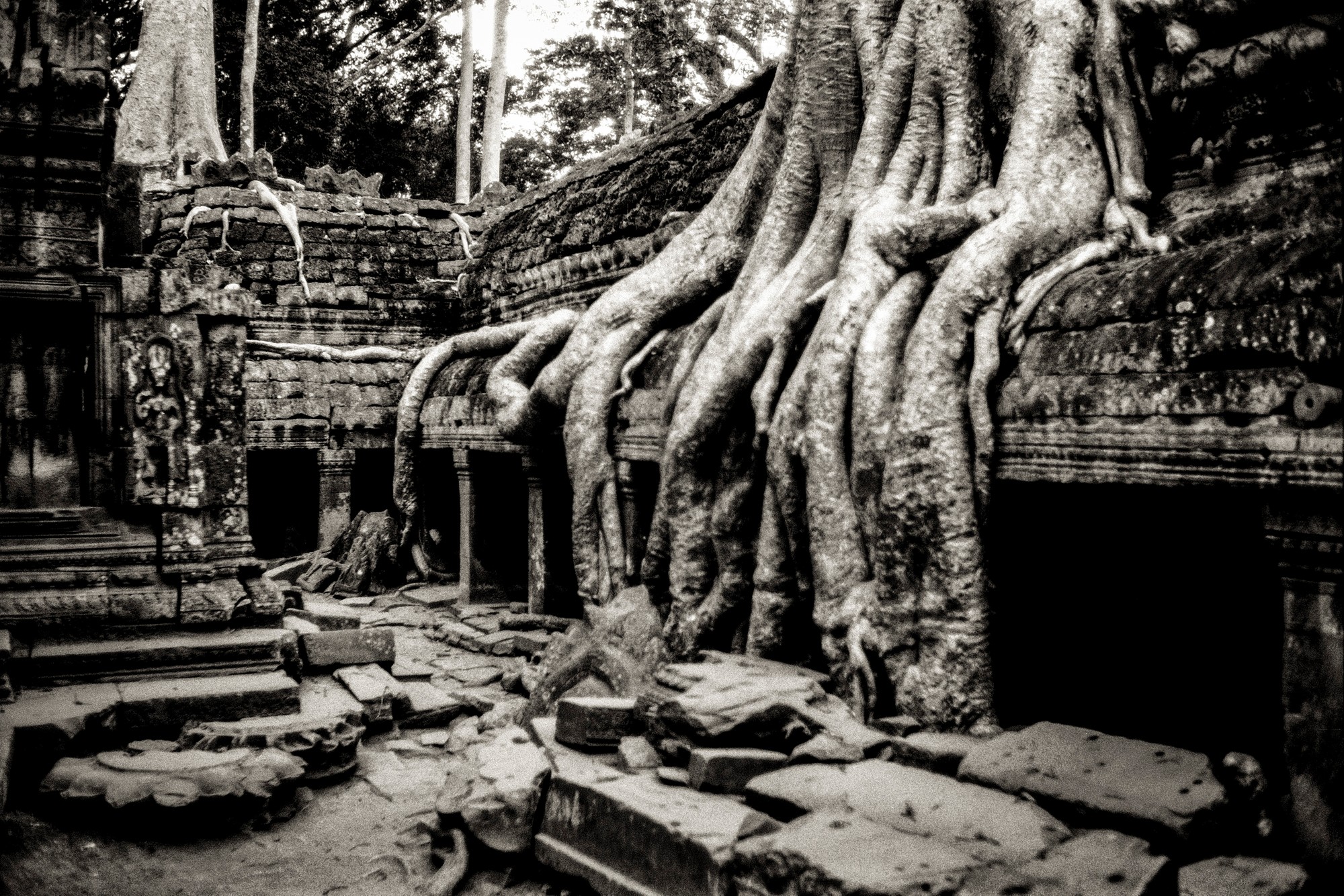 ANGKOR.F1.4_0469-Edit.jpg
