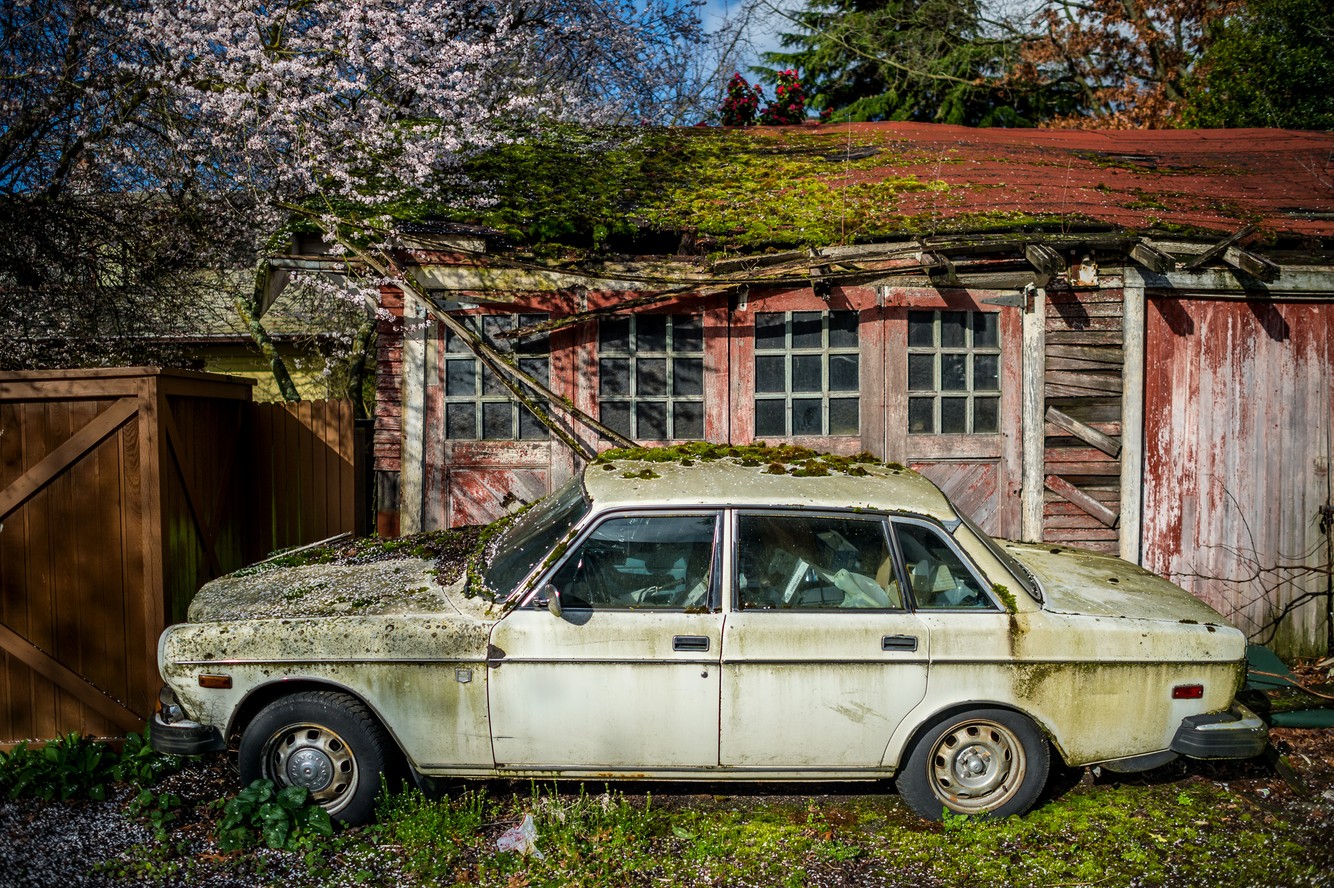Spring in Seattle