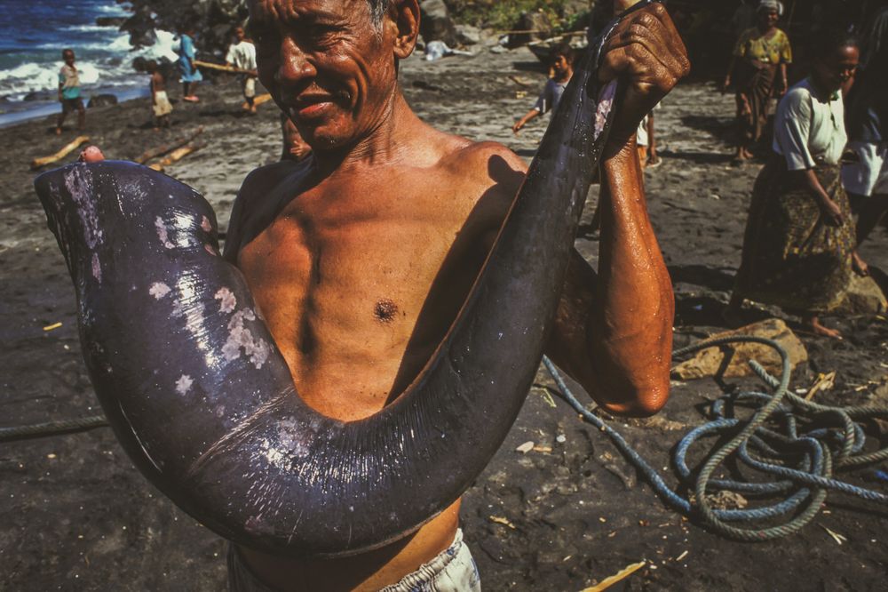 whaling.indonesia_30.jpg