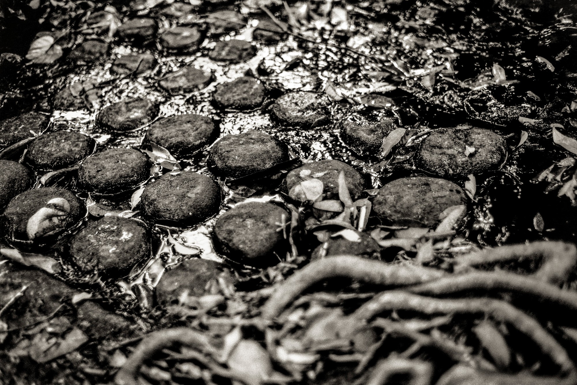 ANGKOR.F1.4_0642-Edit.jpg