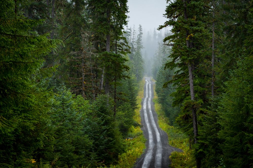 Back country, Alaska. backcountry.alaska_08.jpg