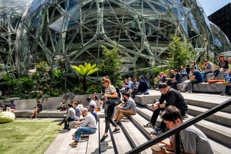 amazon.block19_0214 copy.jpg