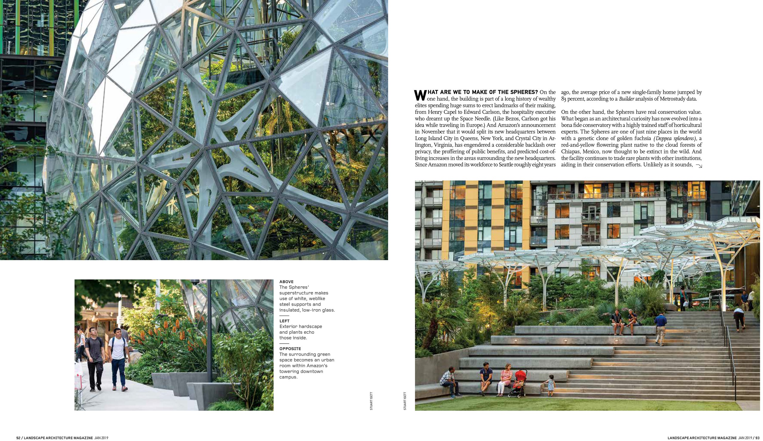 Amazon.spheres-5 copy.jpg