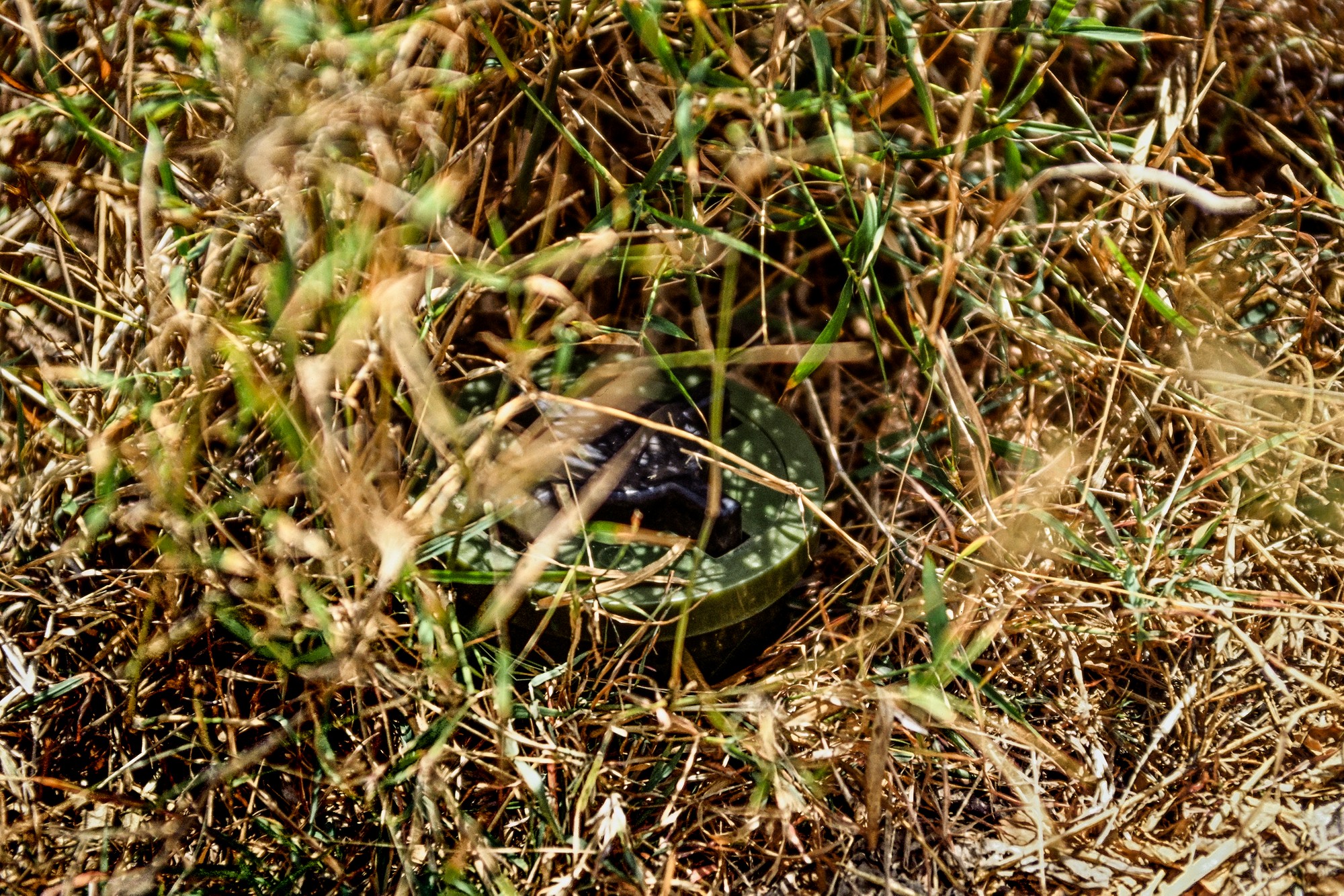 landmines.cambodia_034.jpg
