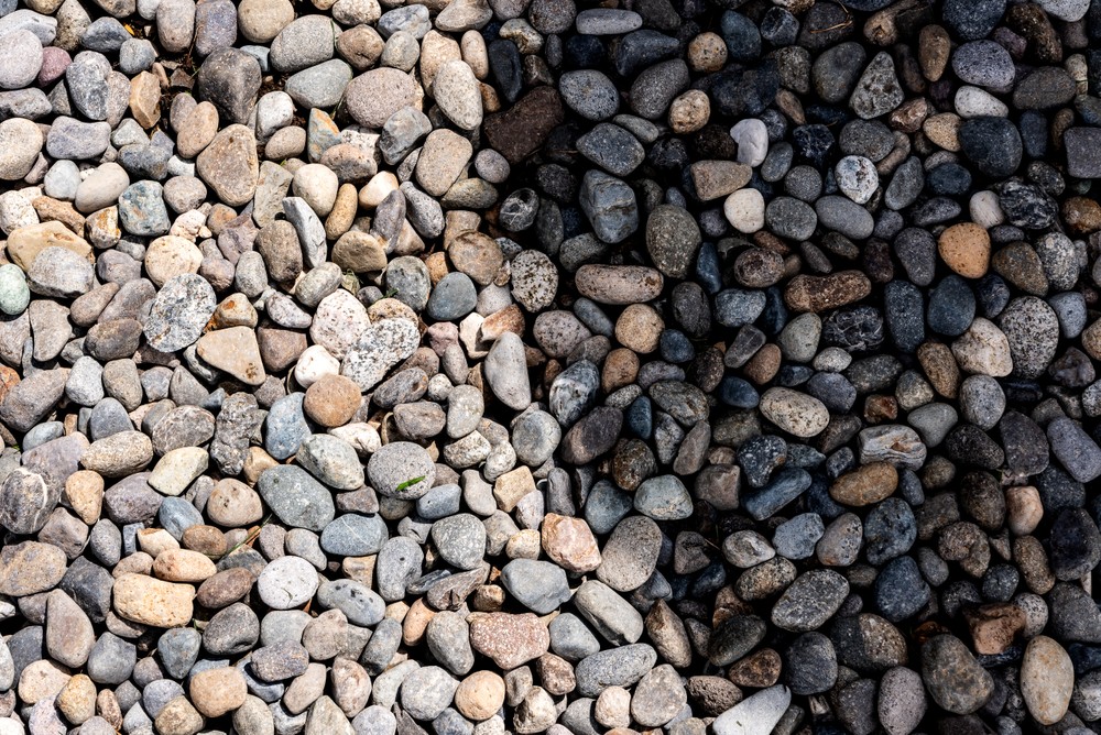 garden.back_265.jpg