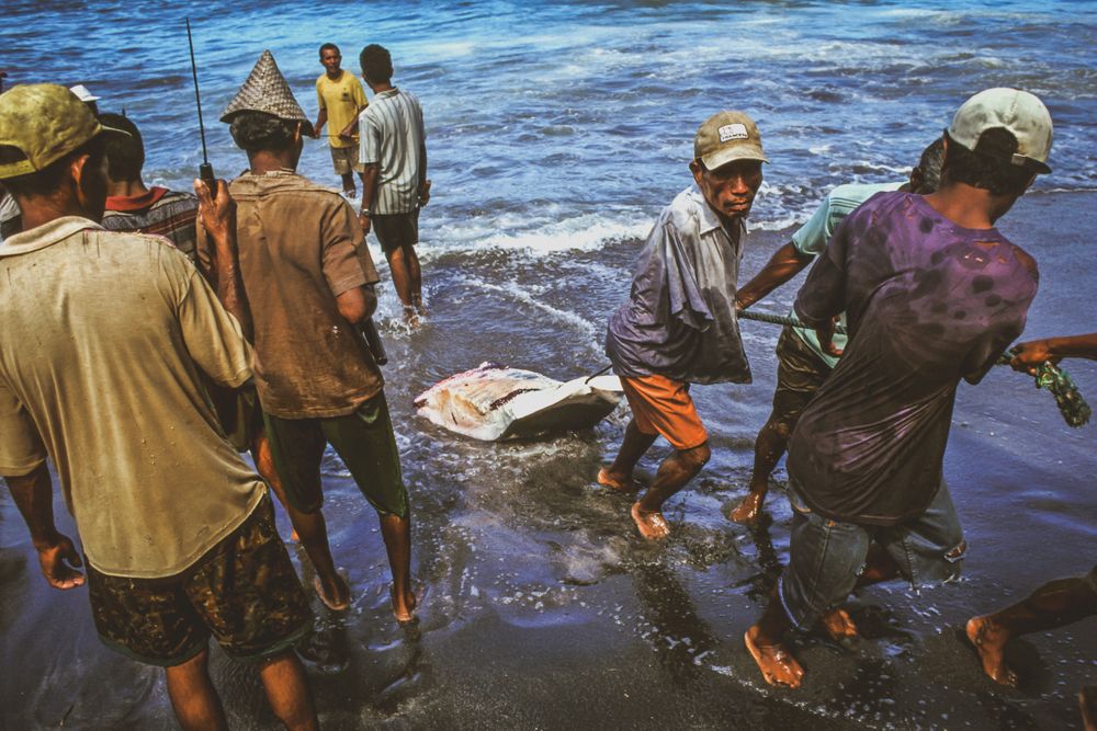 whaling.indonesia_33.jpg