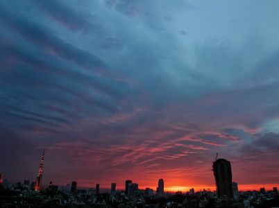 tokyo2018-06-14 at 1.07.33 PM 5.jpg