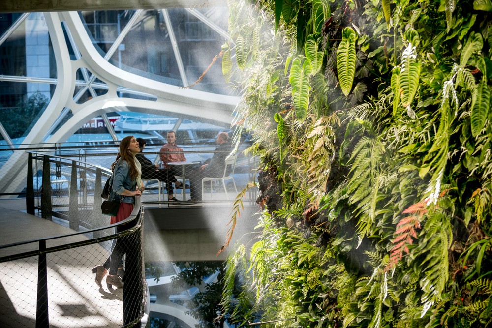Amazon Spheres, Seattle