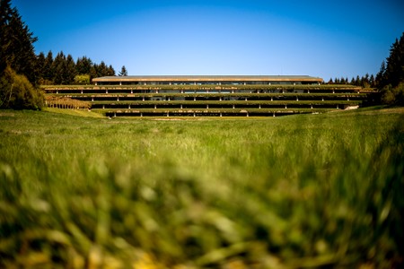 weyerhaeuser.CEO.simons_43.jpg