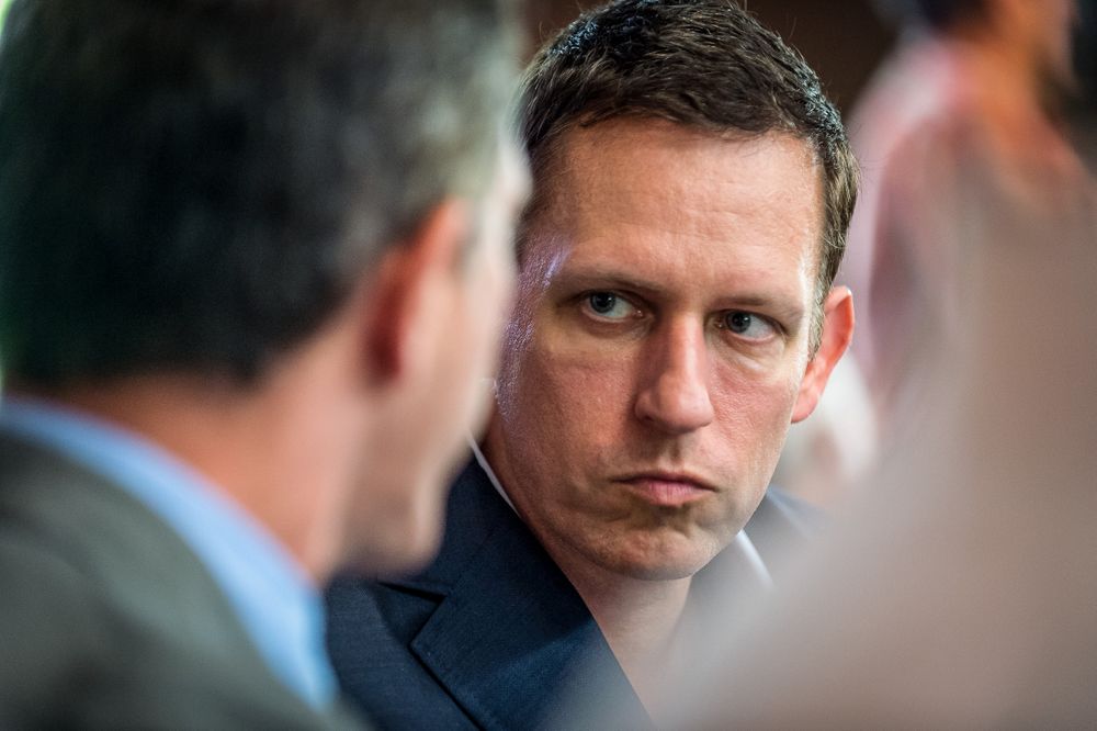 Peter Thiel 7587819182_39e2765cce_o copy.jpg