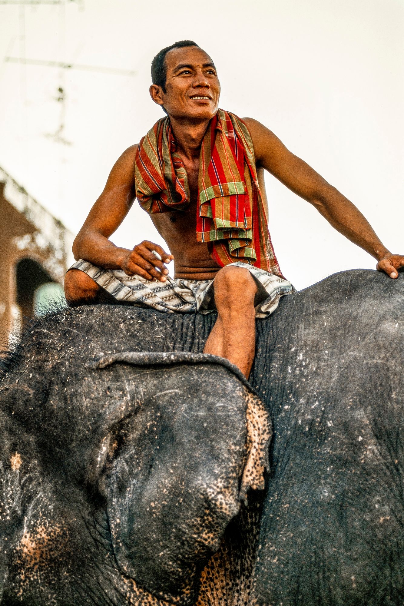 ELEPHANT.thailand_025.jpg