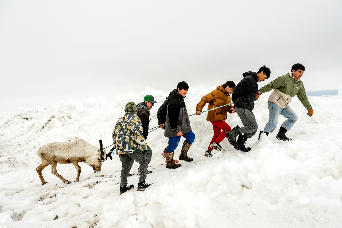 Native reindeer hunt. Savoonga, Alaska SAVOONGA.REINDEER_0273.jpg