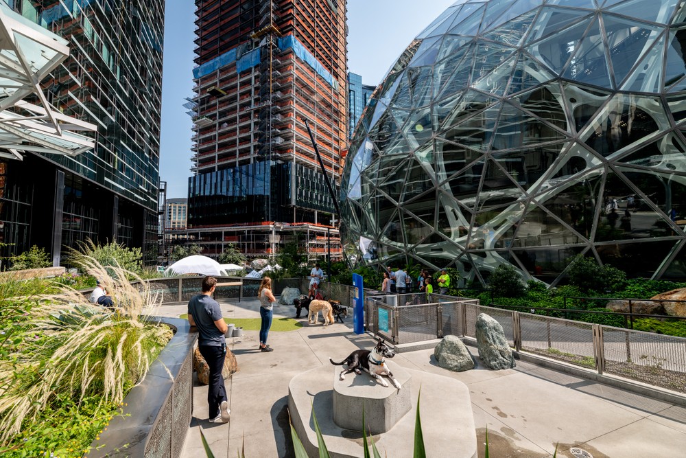 amazon.spheres_00238 copy.jpg