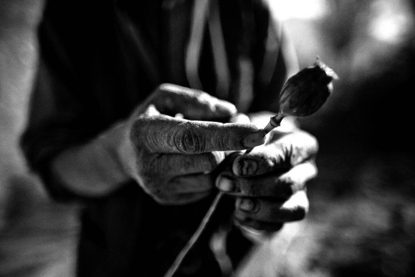 ak-kimoto-unicef002-2-01-data.jpg