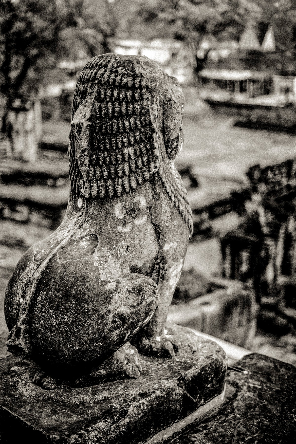 ANGKOR.F1.4_0646-Edit.jpg