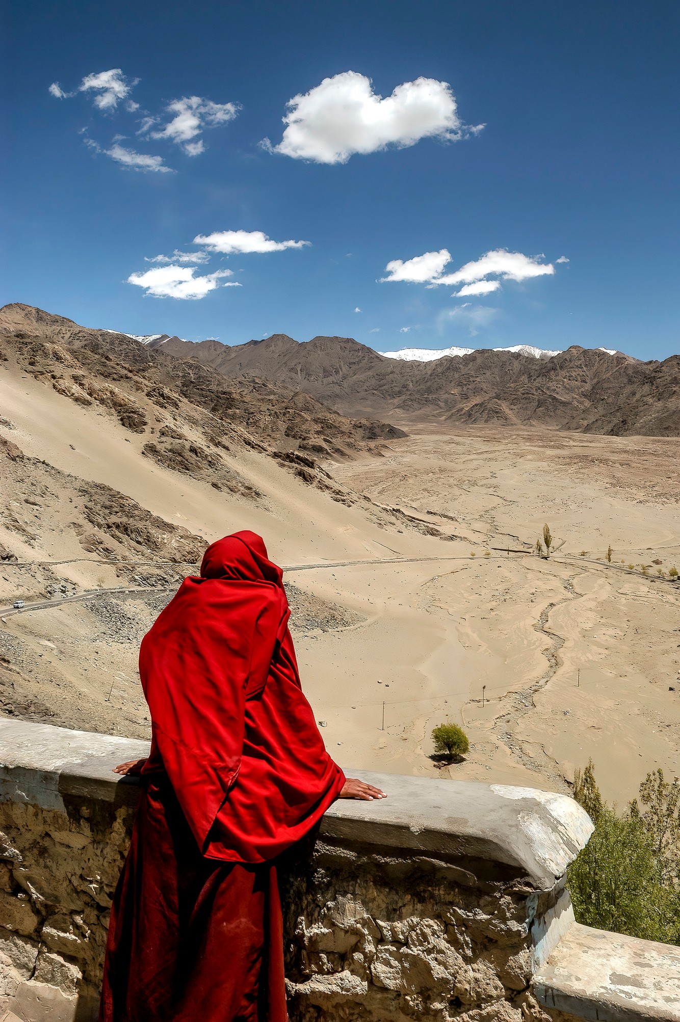 leh.india_18-gigapixel-standard-scale-4_00x-2.jpg