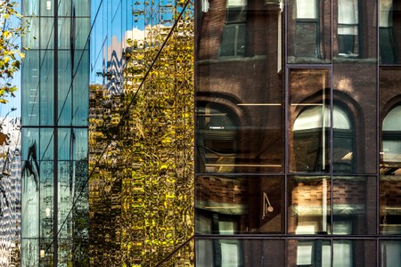 weyerhaeuser.seattle_027.jpg