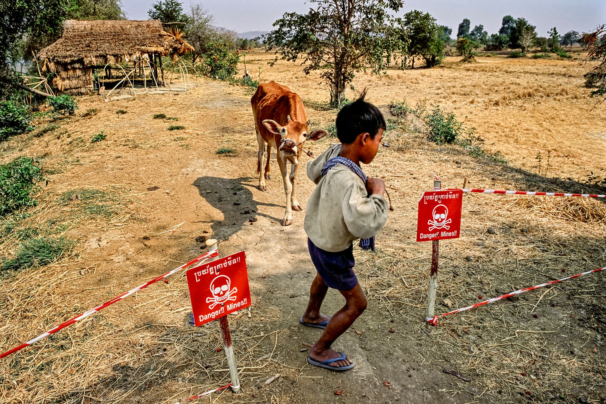 landmines.cambodia_001.jpg