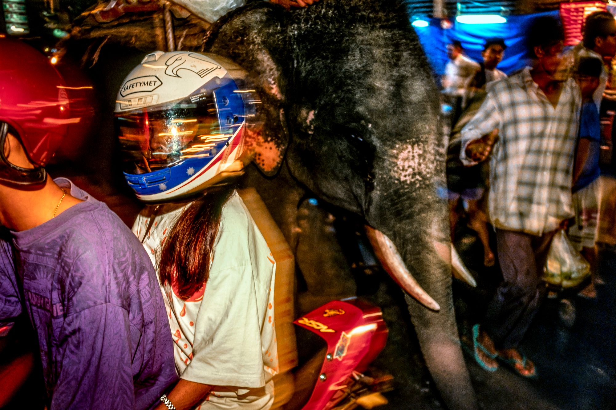 ELEPHANT.thailand_008.jpg