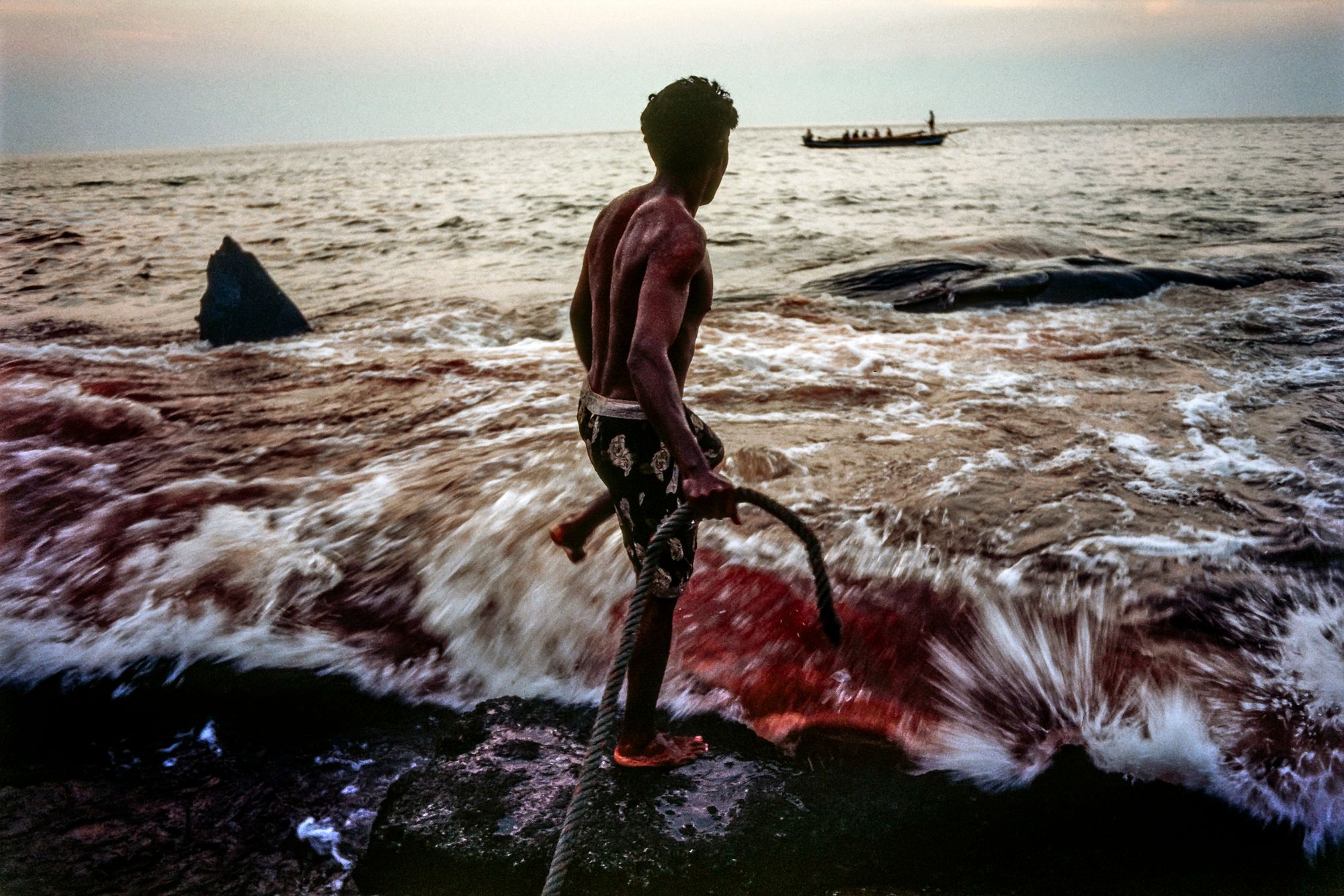 whaling.indonesia002.jpg