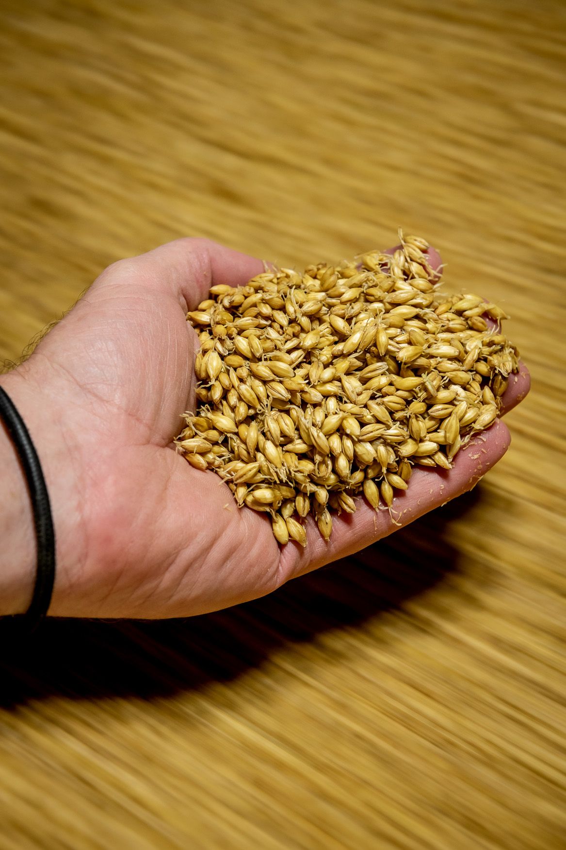 Buhler Engineering BUHLER.MALT.kiln_1285-2.jpg