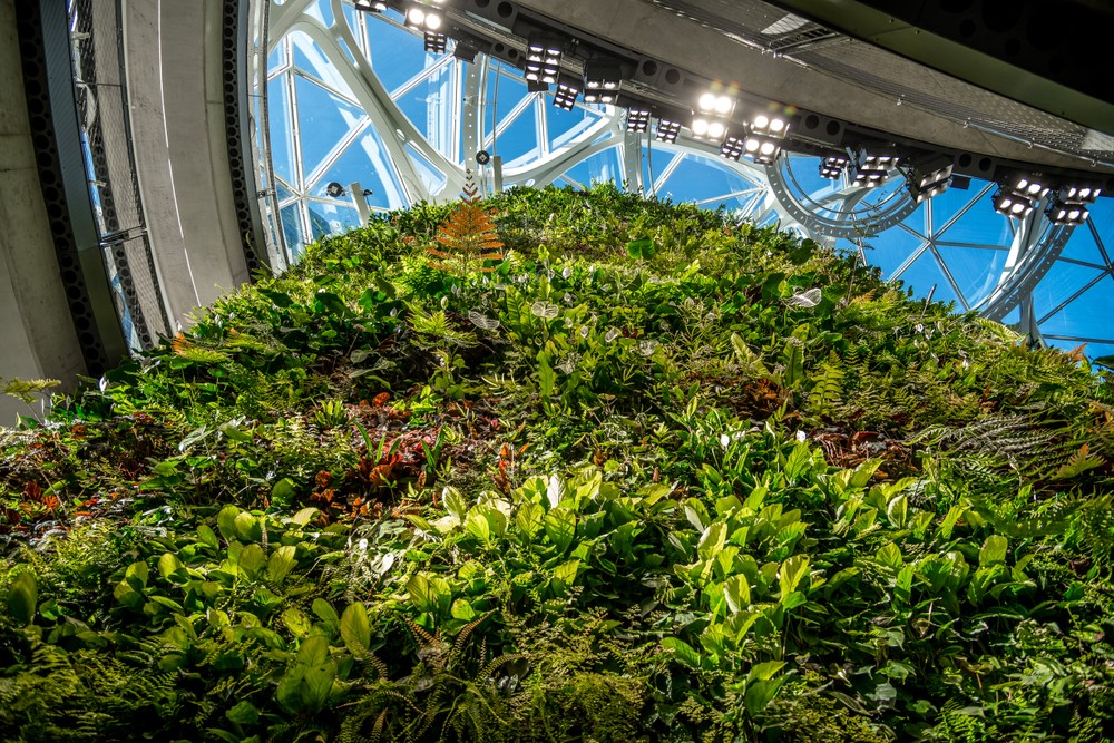 SPHERES.Amazon_0231.jpg
