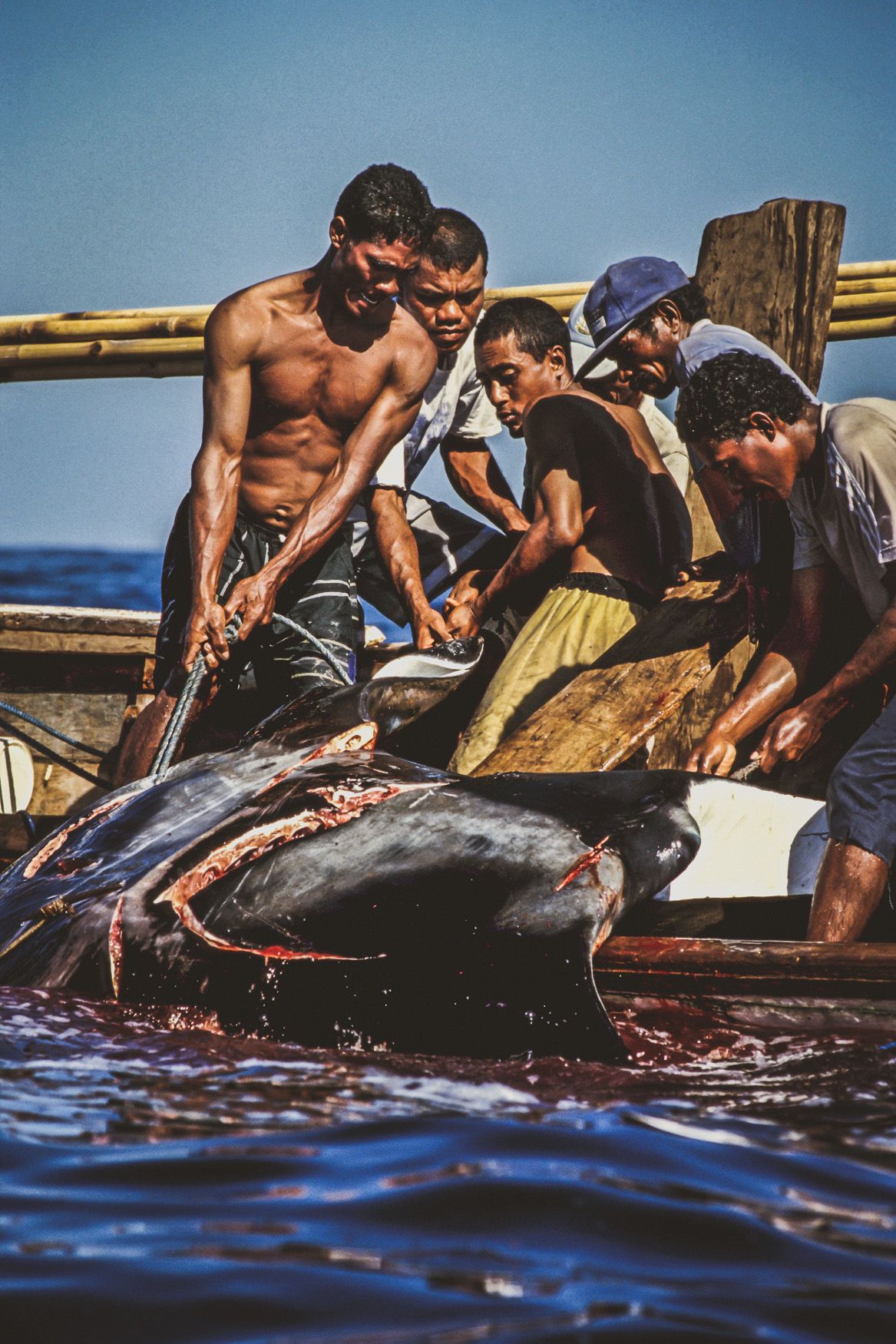 whaling.indonesia_12.jpg