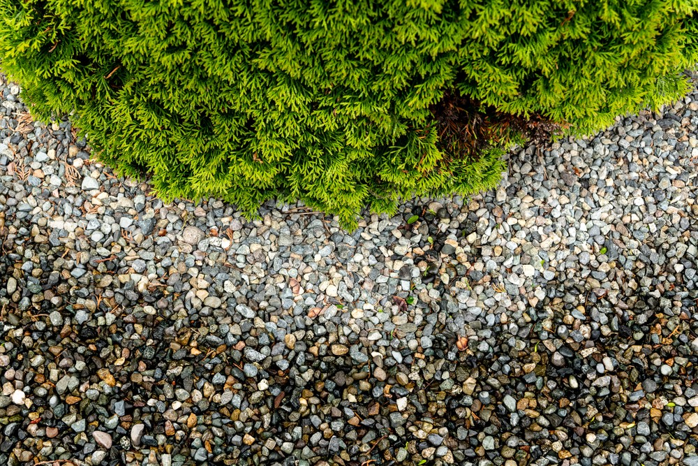 garden.front_227.jpg