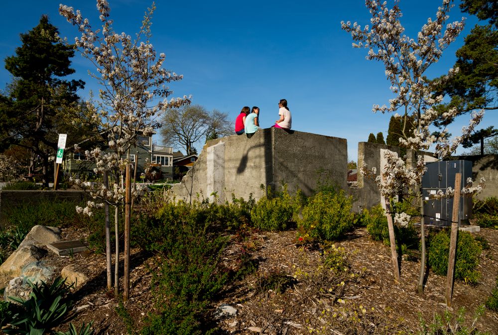 Kirke Park. Seattle BSC_1356.jpg