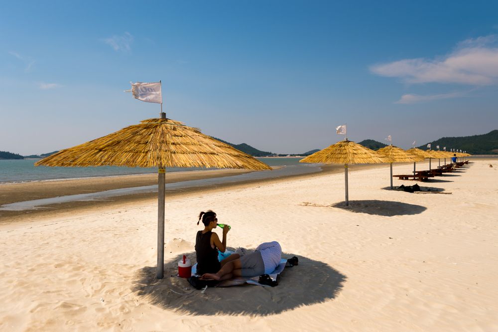 Wando Island, Korea Wando Island, Korea