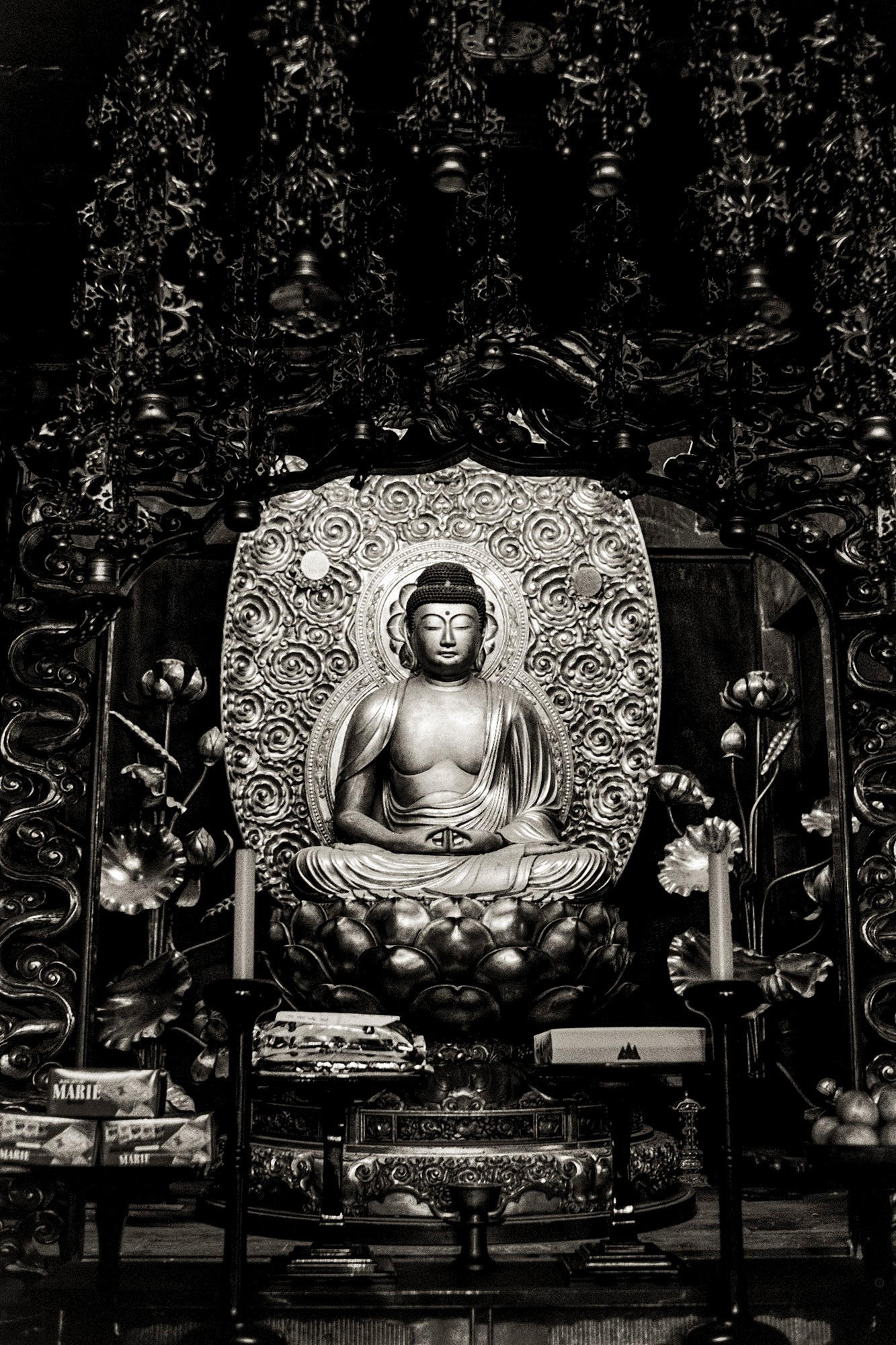 SUOH.OSHIMA.Japan_044.jpg