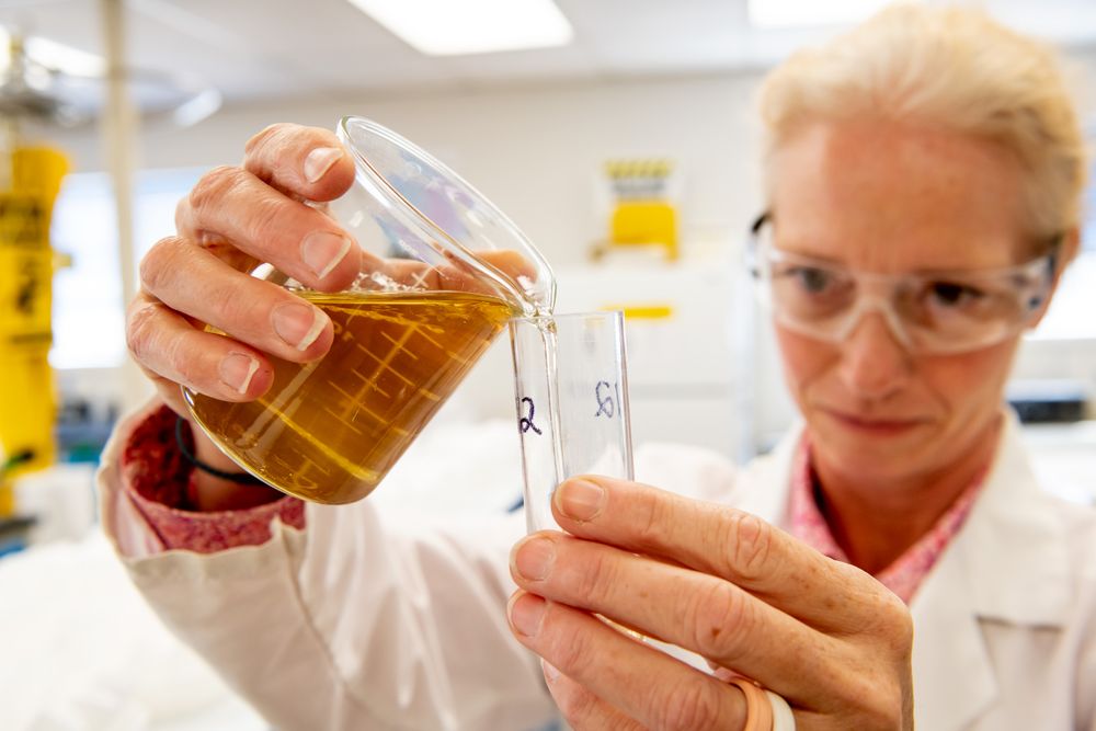 BUHLER.MALT.lab_097.jpg