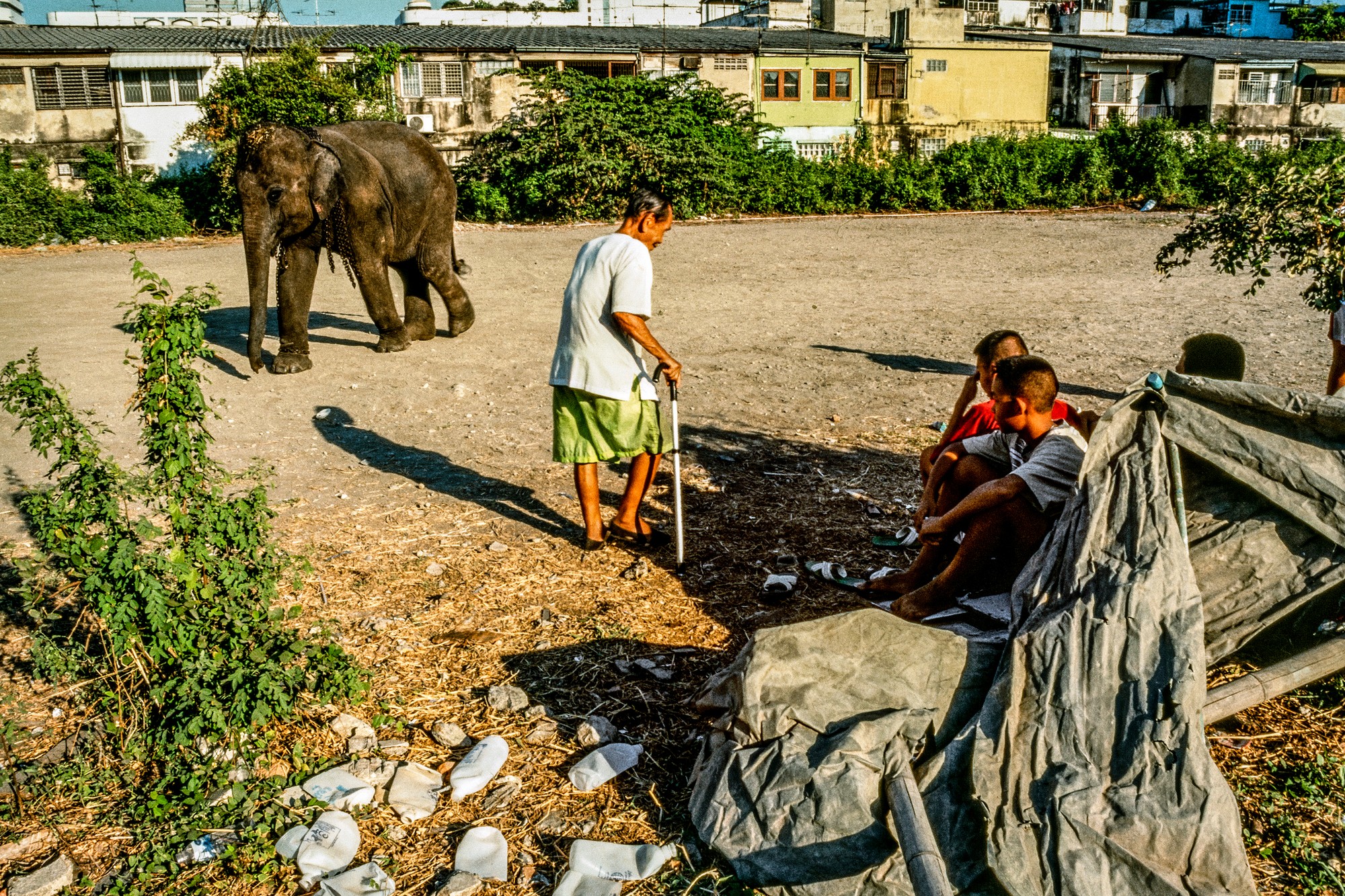 ELEPHANT.thailand_026.jpg